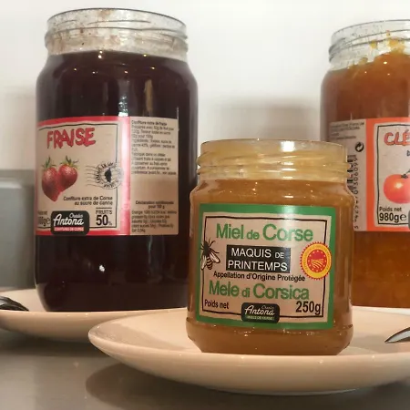 Hotel Ibis Styles Napoleon