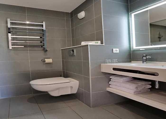 Hotel Ibis Styles Napoleon 3*