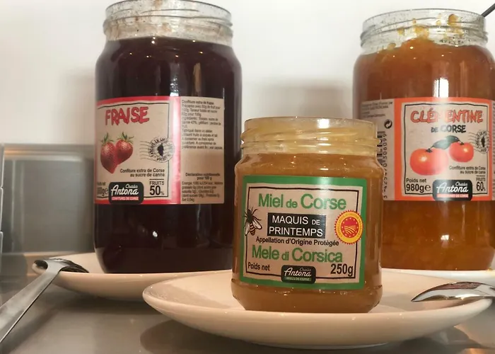 Hotel Ibis Styles Napoleon